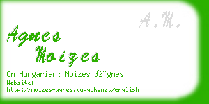 agnes moizes business card